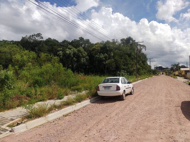 #162 - Área para Venda em Tijucas do Sul - PR - 2