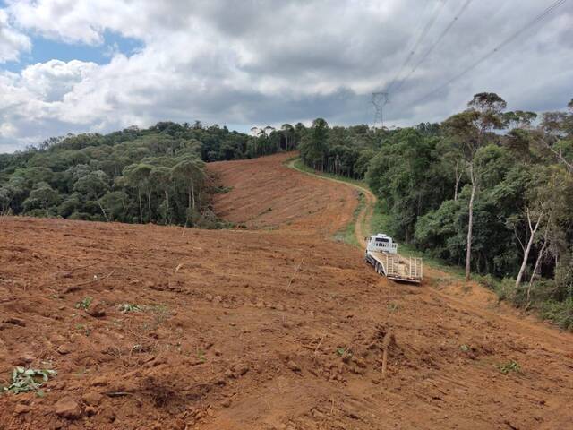 #174 - Área para Venda em Tijucas do Sul - PR - 2