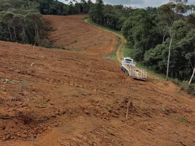 #174 - Área para Venda em Tijucas do Sul - PR