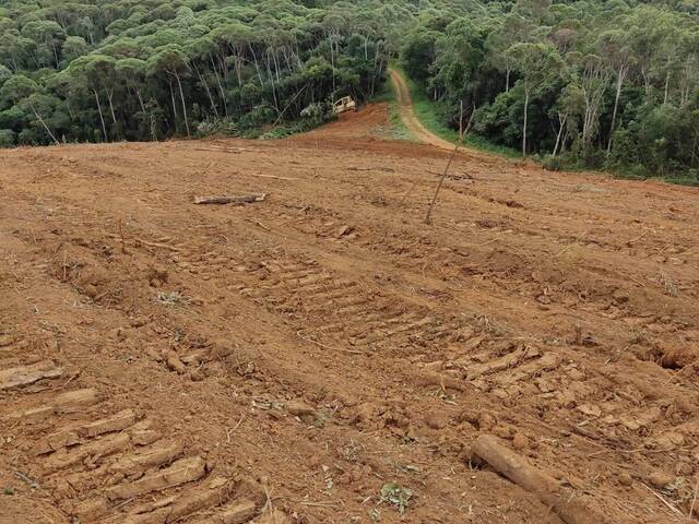 #174 - Área para Venda em Tijucas do Sul - PR - 3