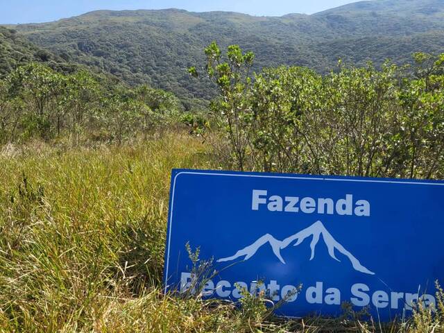 #229 - Chácara para Venda em Tijucas do Sul - PR