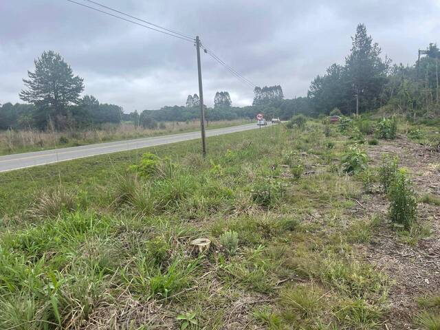 #231 - Sala para Venda em Tijucas do Sul - PR