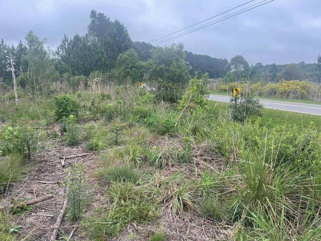 #231 - Sala para Venda em Tijucas do Sul - PR