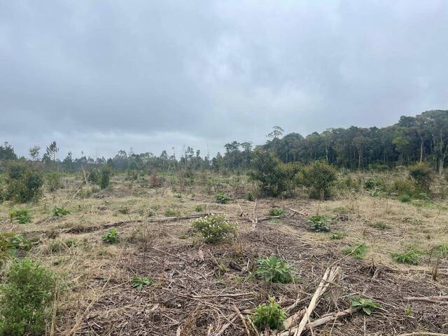 #231 - Sala para Venda em Tijucas do Sul - PR