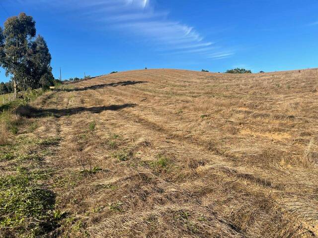 #232 - Área para Venda em Tijucas do Sul - PR