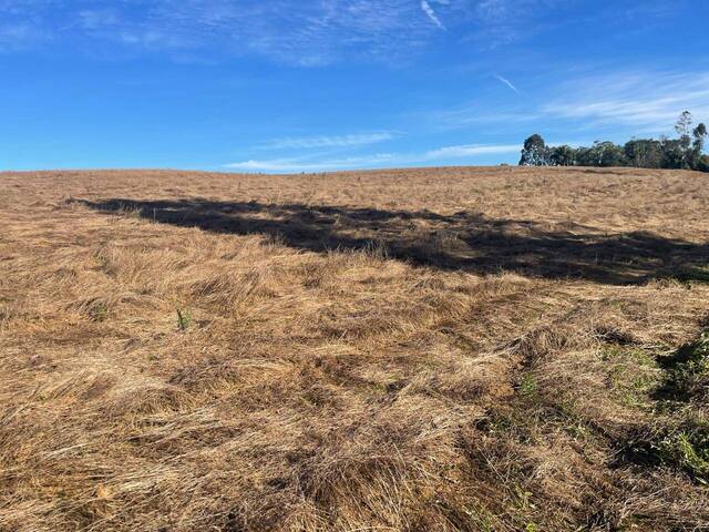 #232 - Área para Venda em Tijucas do Sul - PR