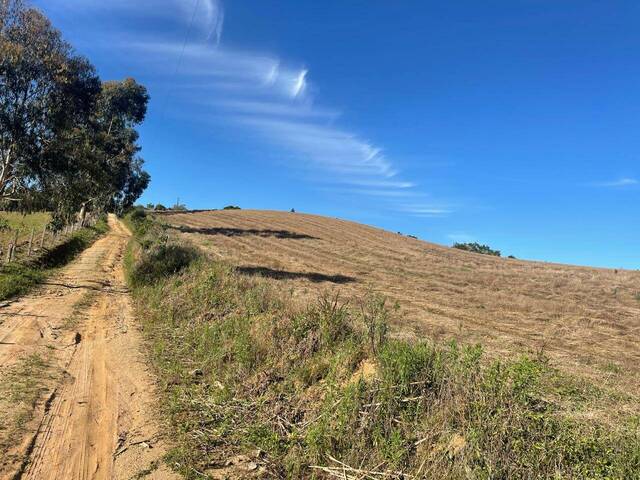 #232 - Área para Venda em Tijucas do Sul - PR