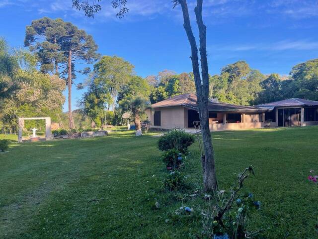 #234 - Chácara para Venda em Tijucas do Sul - PR