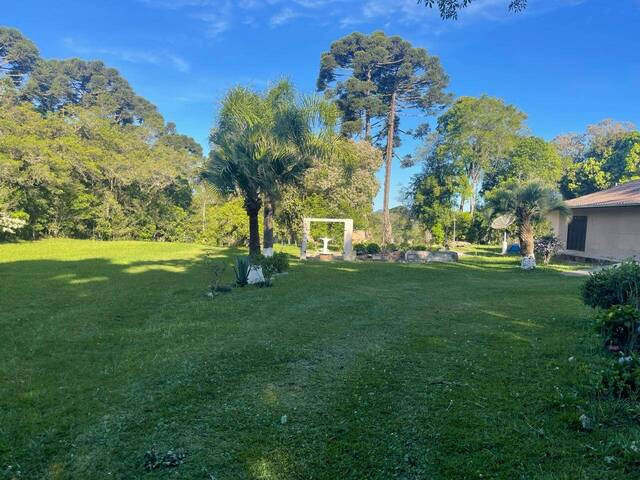 #234 - Chácara para Venda em Tijucas do Sul - PR