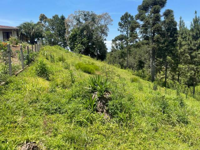 #236 - Chácara para Venda em Tijucas do Sul - PR
