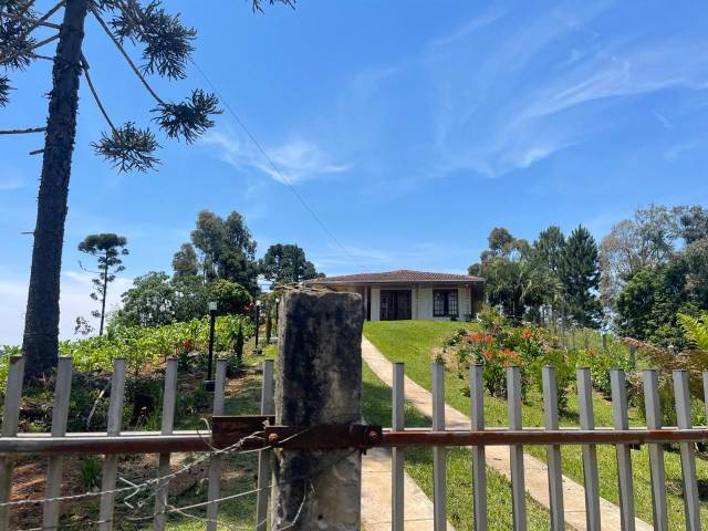 #236 - Chácara para Venda em Tijucas do Sul - PR