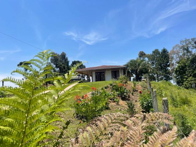 #236 - Chácara para Venda em Tijucas do Sul - PR